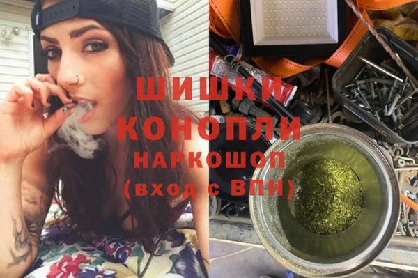 шишки Коряжма