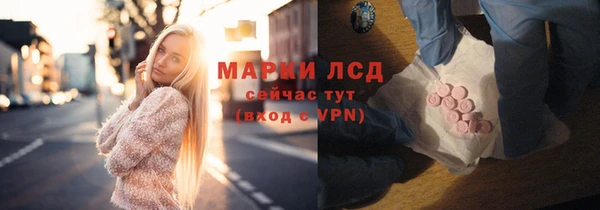 прущие грибы Бабаево