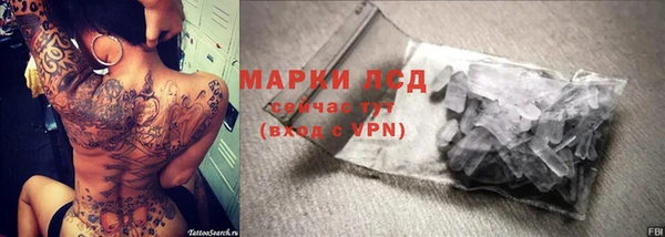 СК Краснослободск