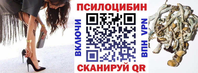 Галлюциногенные грибы Psilocybe  Лангепас 
