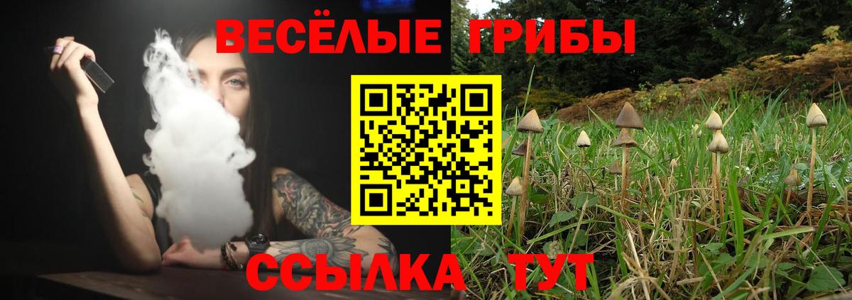 Галлюциногенные грибы мухоморы  Вход с VPN  Лангепас  Галлюциногенные грибы Cubensis 